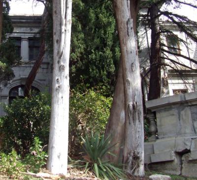 Прикрепленное изображение: DSCF6719.jpg